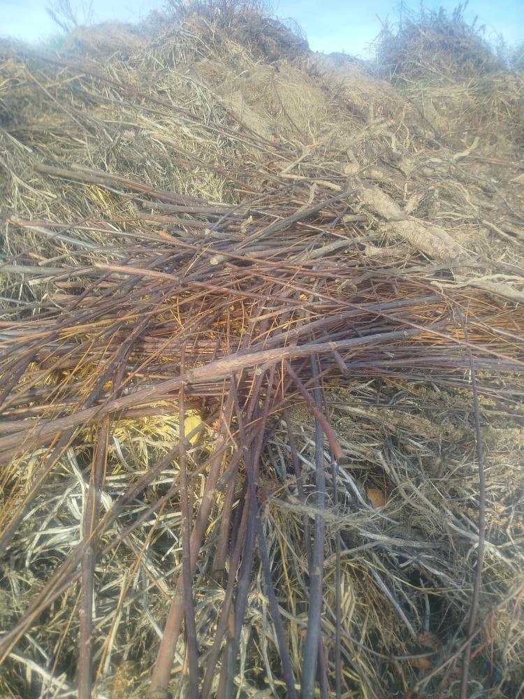 Foto-vetve-kompost-za-VKK